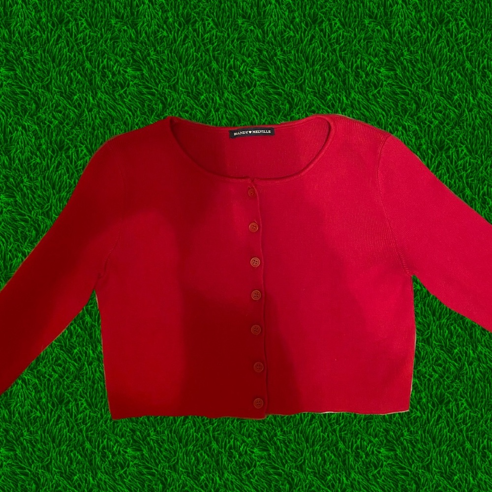Brandy Melville Cropped Cardigan